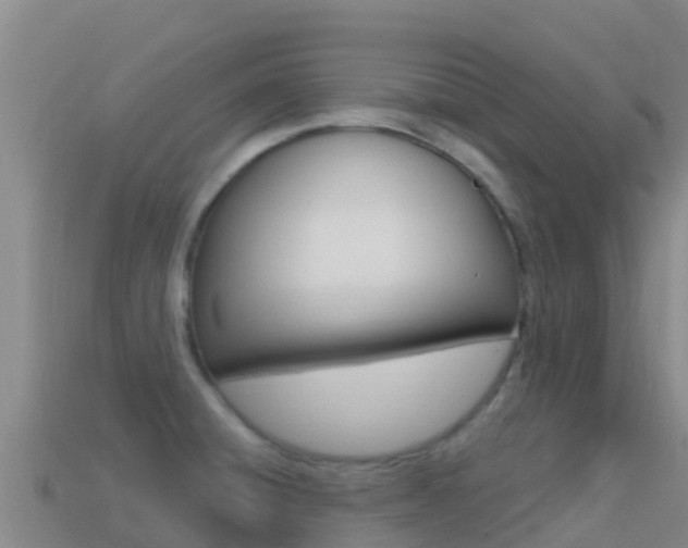 X0000114631428200910201013