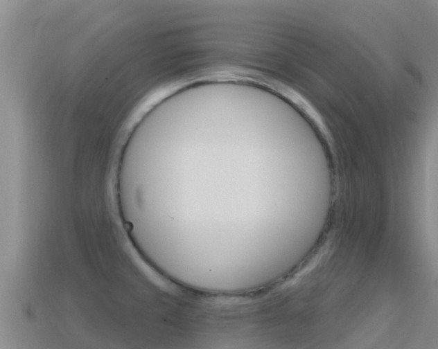X0000114631429200910201013