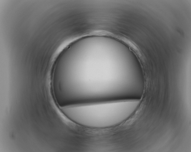 X0000114631430200910201013