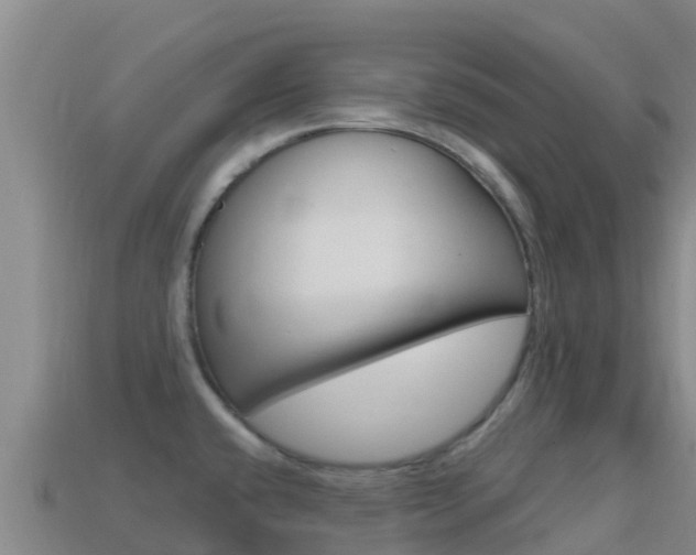 X0000114631432200910201013