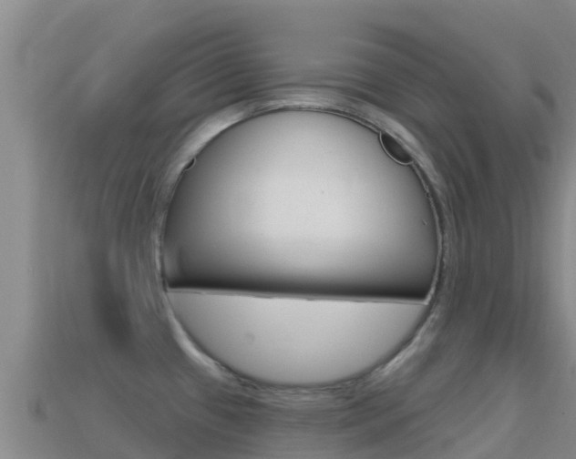 X0000114631433200910201013