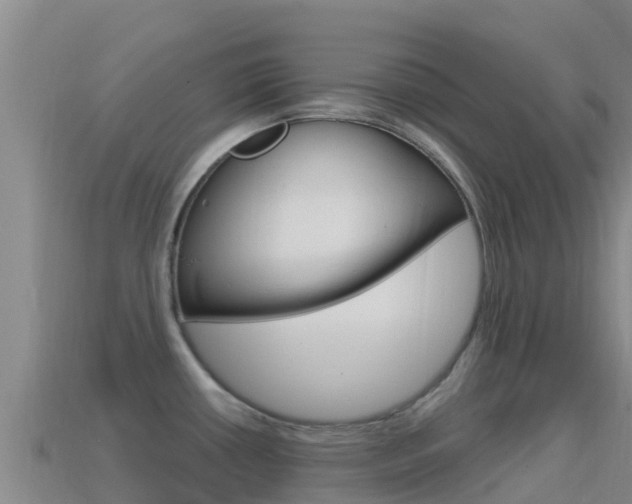 X0000114631434200910201013