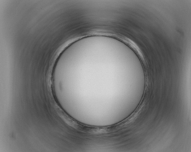 X0000114631435200910201013