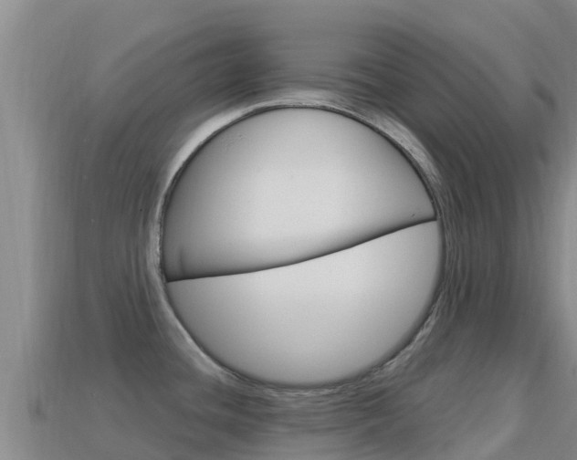 X0000114631436200910201013