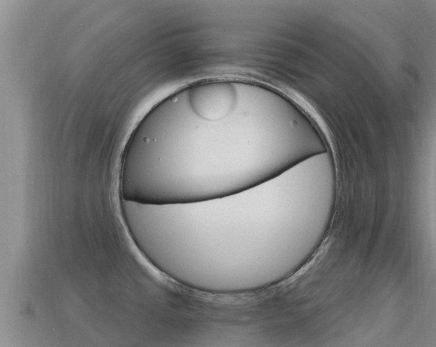 X0000114631437200910201013