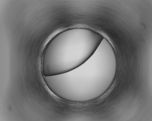 X0000114631438200910201013