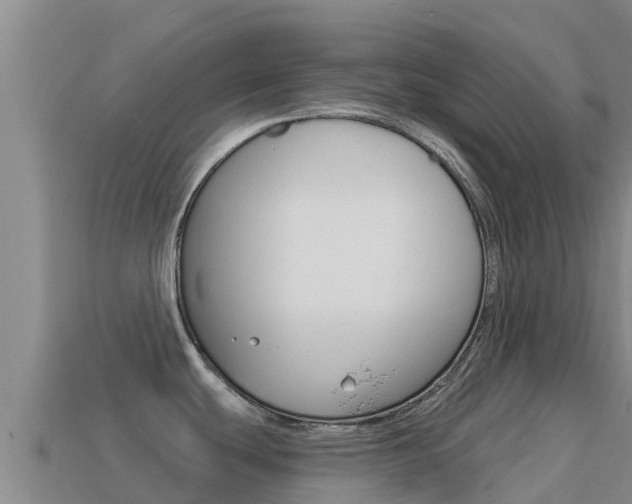 X0000114631439200910201013