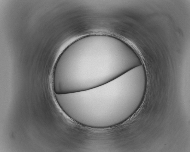 X0000114631440200910201013