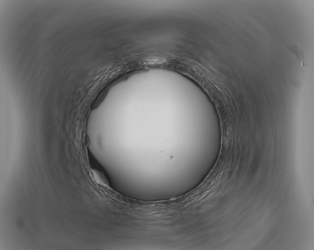 X0000114631441200910201012