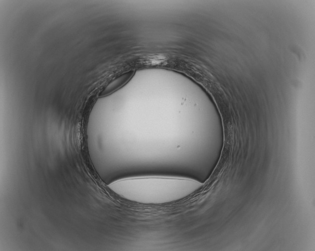 X0000114631442200910201012