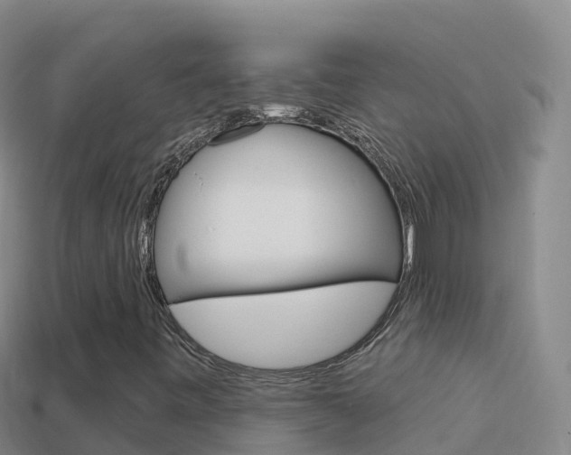 X0000114631443200910201012