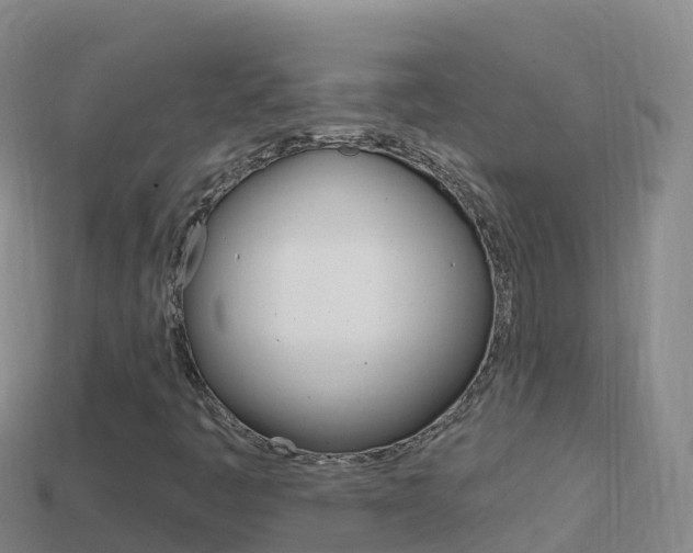 X0000114631445200910201012
