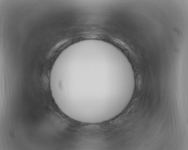 X0000114631446200910201012