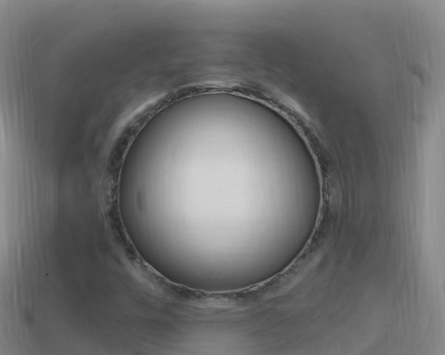 X0000114631448200910201012