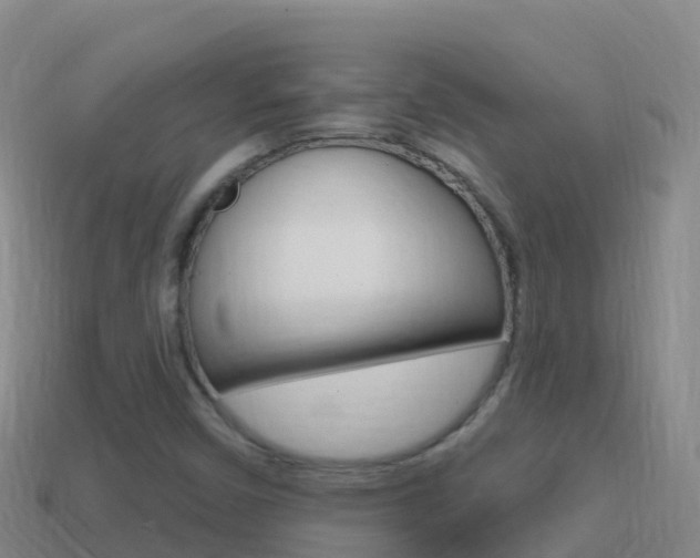X0000114631450200910201012