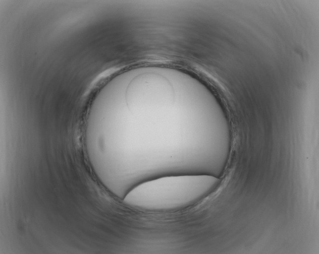 X0000114631451200910201012
