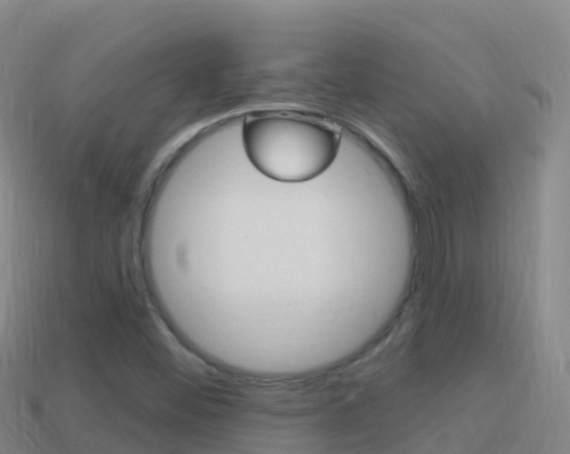 X0000114631452200910201012