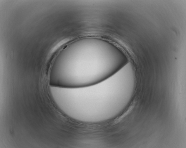 X0000114631453200910201012
