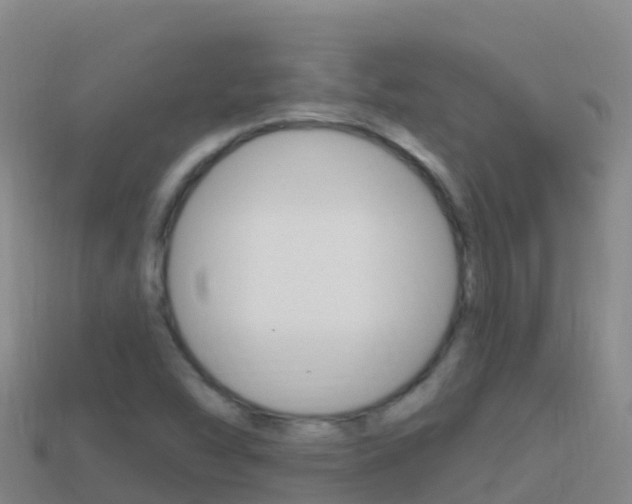 X0000114631454200910201012
