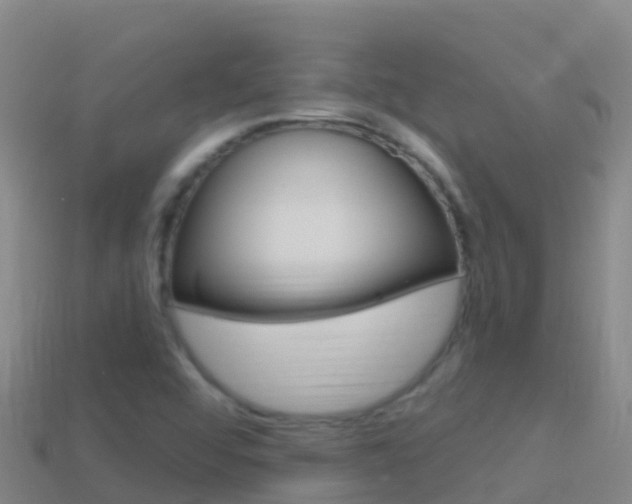 X0000114631456200910201012