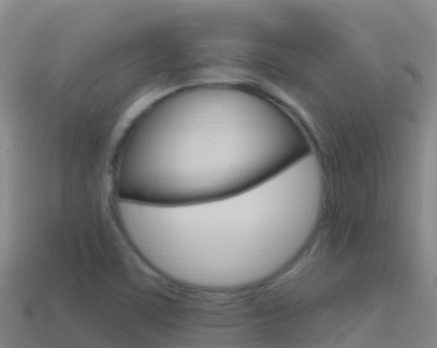 X0000114631459200910201012