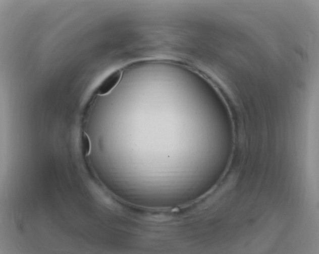 X0000114631460200910201012