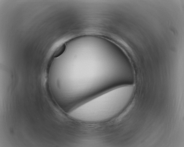 X0000114631461200910201012