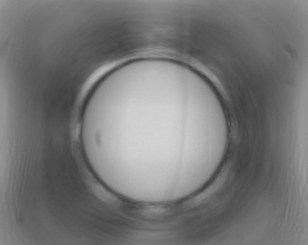 X0000114631462200910201012