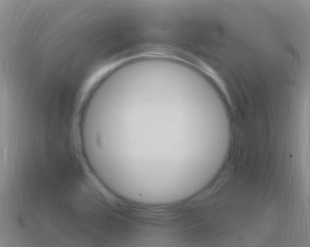 X0000114631464200910201012
