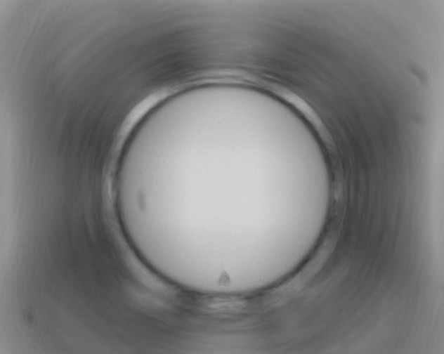 X0000114631466200910201012