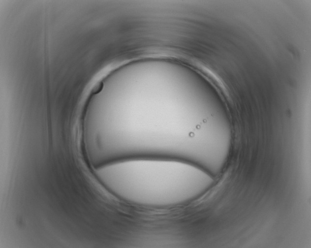 X0000114631467200910201012
