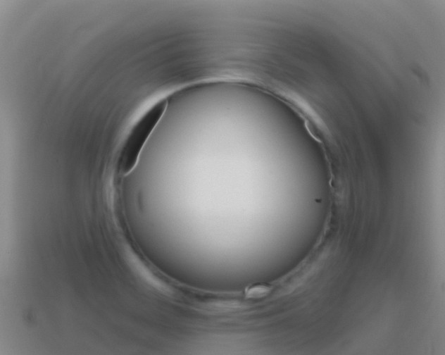 X0000114631468200910201012