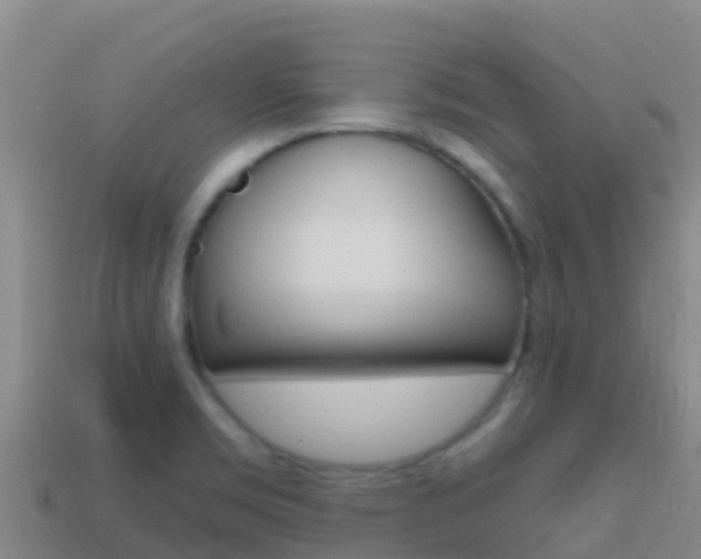 X0000114631469200910201012