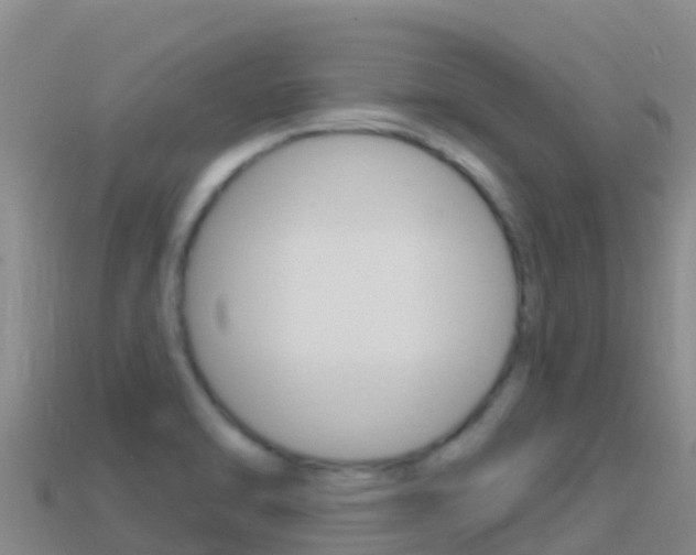X0000114631470200910201012