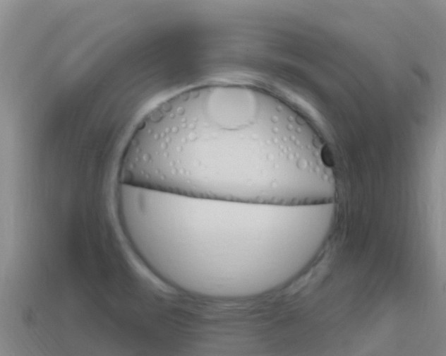 X0000114631471200910201012