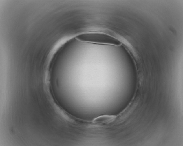 X0000114631472200910201012