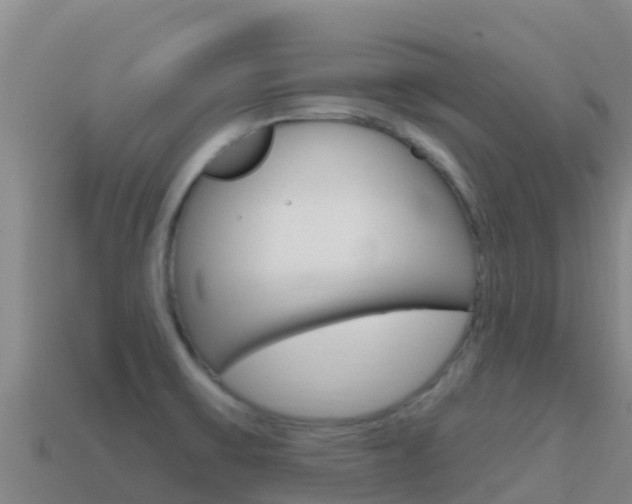 X0000114631475200910201012
