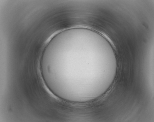 X0000114631476200910201012