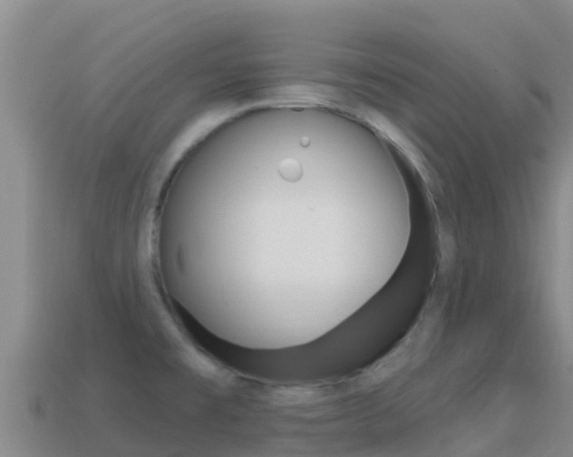 X0000114631477200910201012