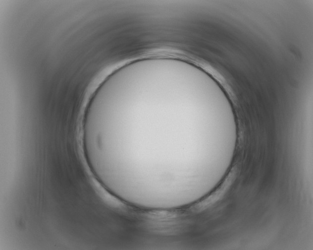 X0000114631478200910201012