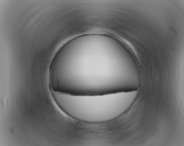 X0000114631479200910201012