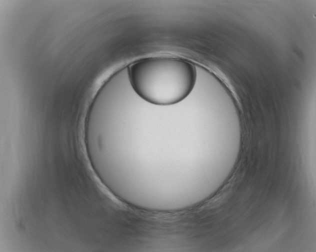 X0000114631480200910201012