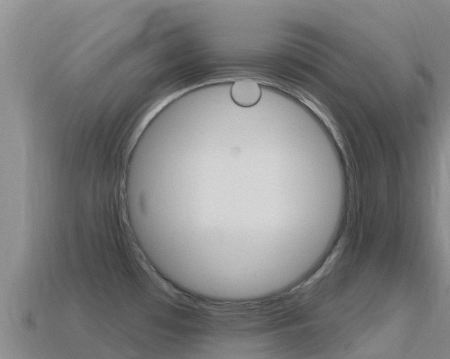 X0000114631481200910201012