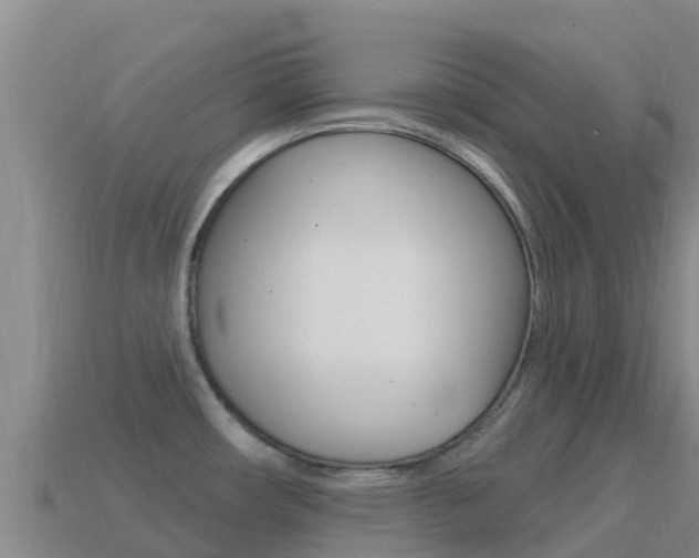 X0000114631482200910201012