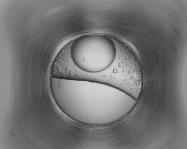 X0000114631483200910201012