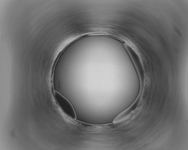X0000114631485200910201012