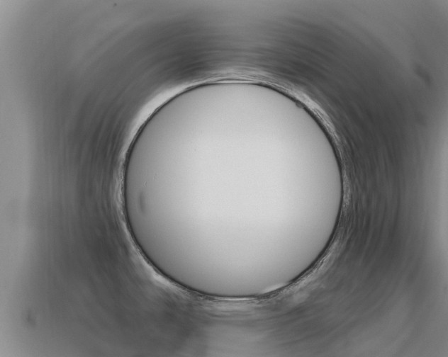 X0000114631486200910201012
