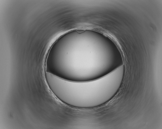 X0000114631488200910201012