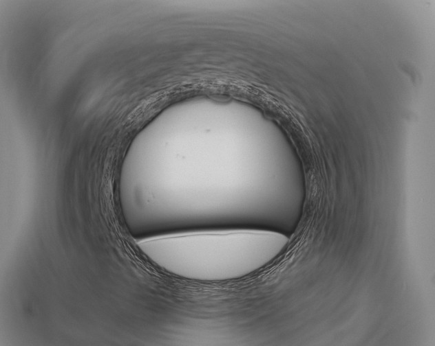 X0000114631489200910201011