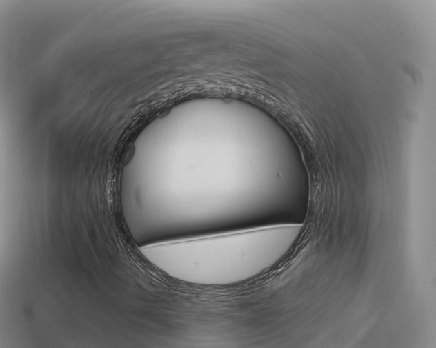 X0000114631490200910201011